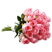 Wholesale - Pink Rose Stem 20.5" C/P 288, UPC: 763713423176